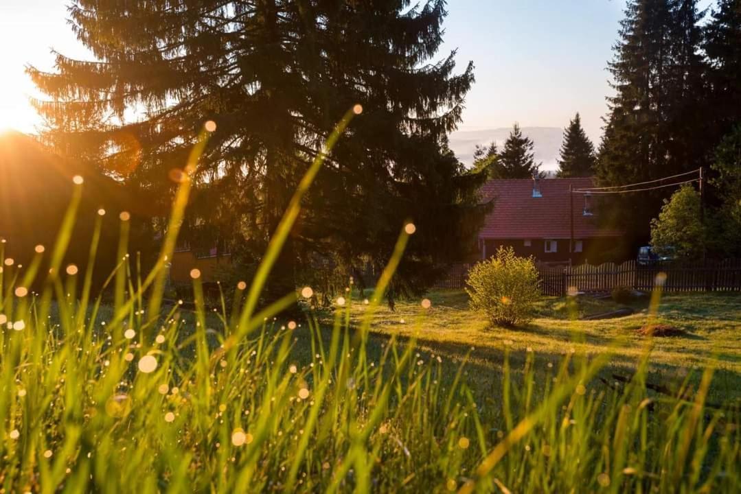Piricske Pihenohaz Villa Ciceu Dış mekan fotoğraf