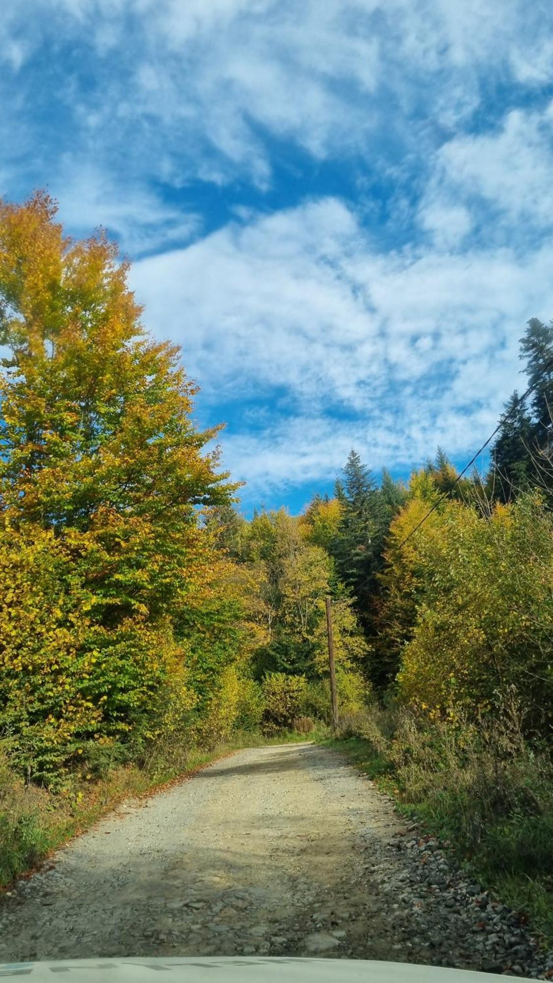 Piricske Pihenohaz Villa Ciceu Dış mekan fotoğraf